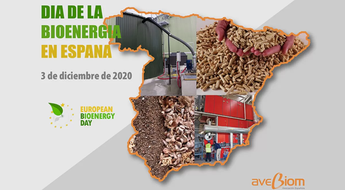 Día de la Bioenergía en España: casi un mes de autosuficiencia energética gracias a la biomasa
