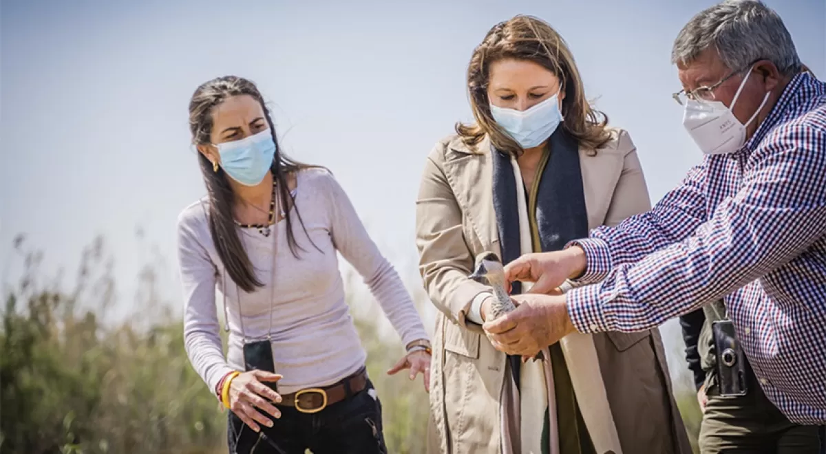 Andalucía destina 20 millones de euros para la restauración de humedales