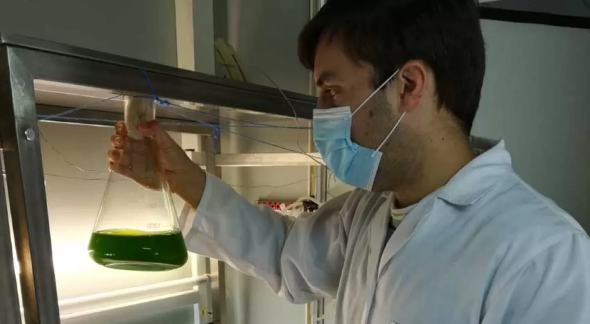 Una microalga limpia entornos acuáticos contaminados por cadmio