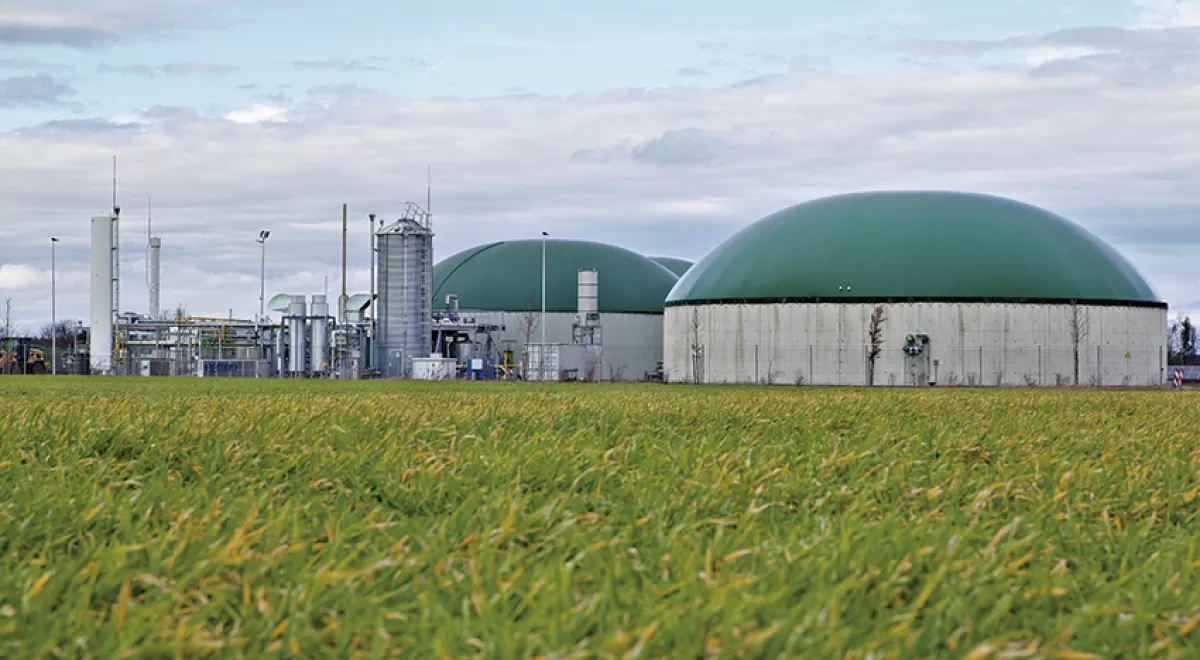 Tierra a la vista para el biogás, pero aún no la pisamos