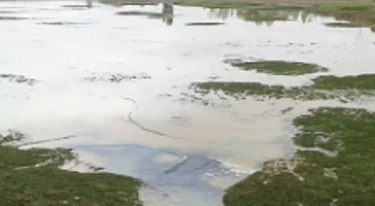 Aqualogy llevará a cabo la limpieza de las balsas de riego de la Comunidad de Regantes del Canal de Guma en Burgos