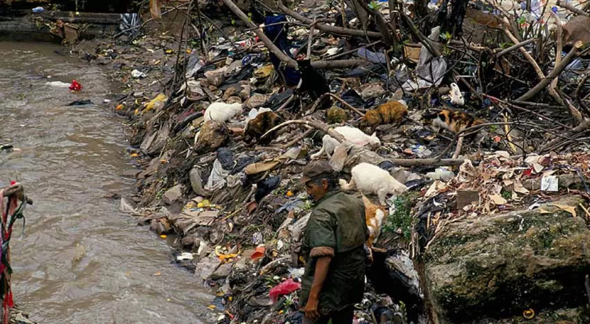 La degradación ambiental causa tantas muertes prematuras al año como los conflictos