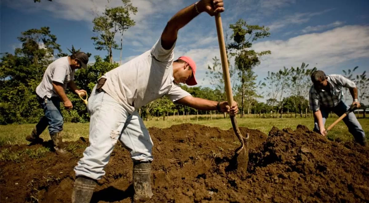 Ni el Estado ni el mercado: ¿quién le está dando agua a 70 millones de latinoamericanos?