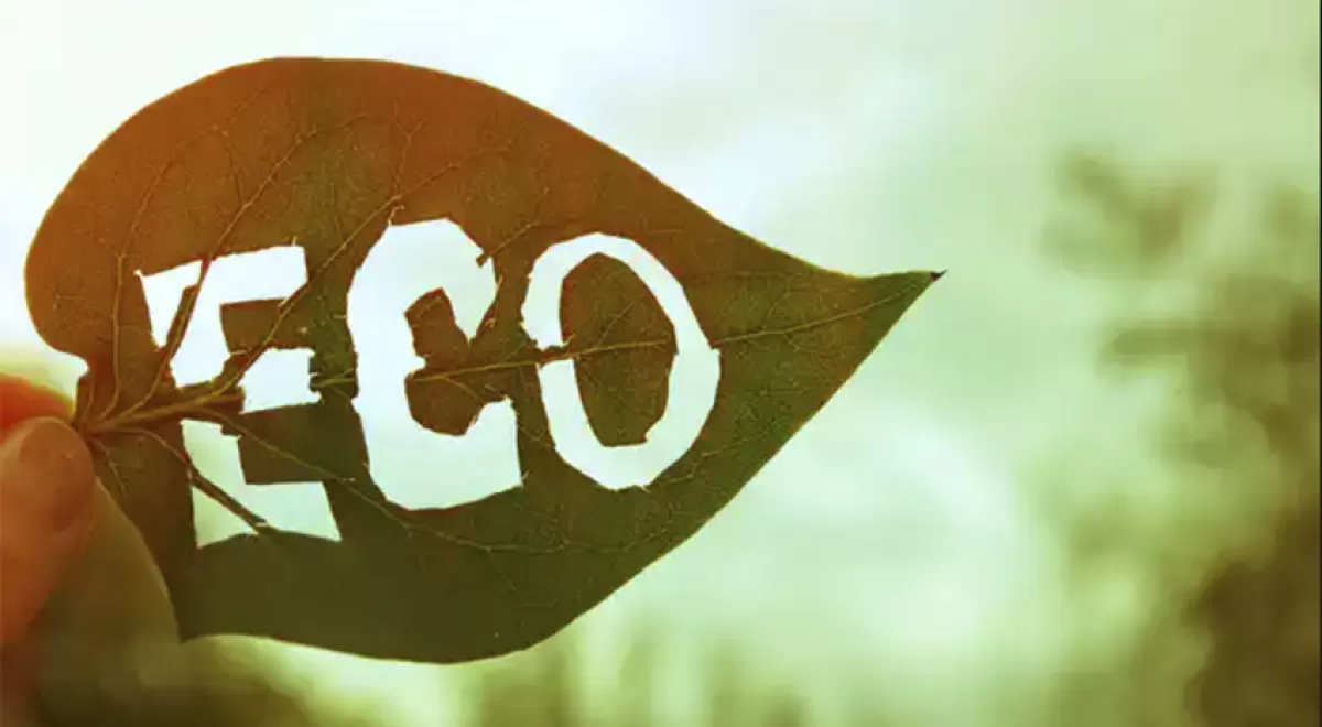 Consumo responsable: guía básica para interpretar las ecoetiquetas