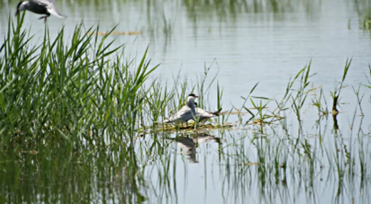 SUEZ Water Spain se une a la Iniciativa Española Empresa y Biodiversidad