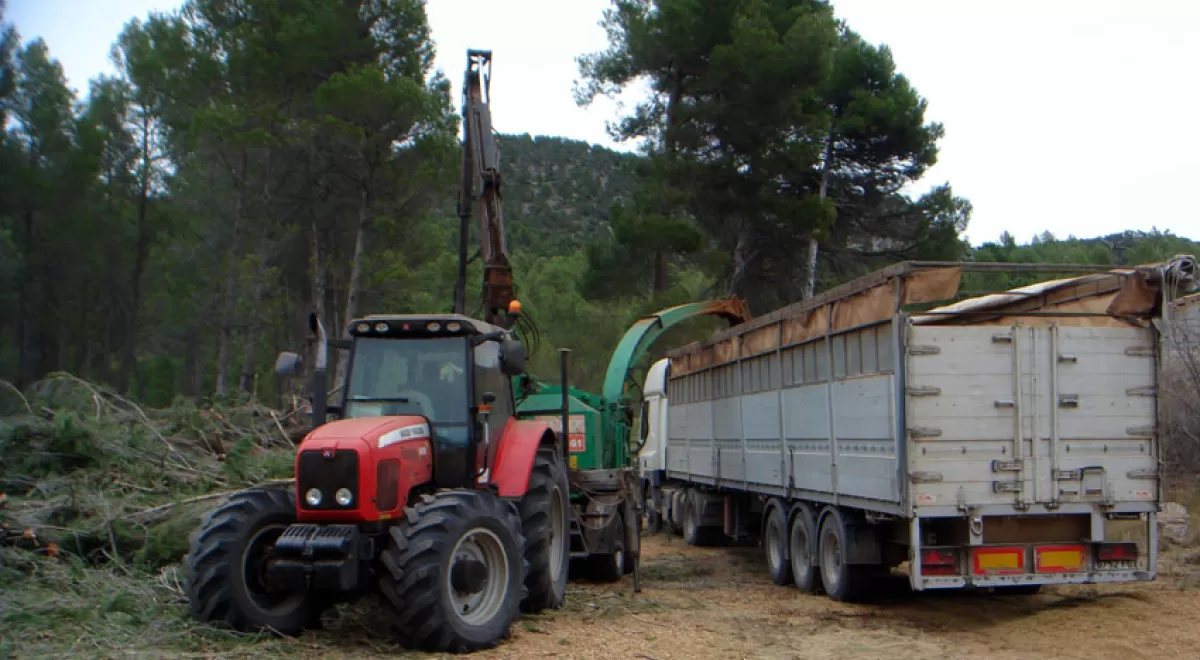 Andalucía fomenta la economía verde con el aprovechamiento de la biomasa de montes públicos