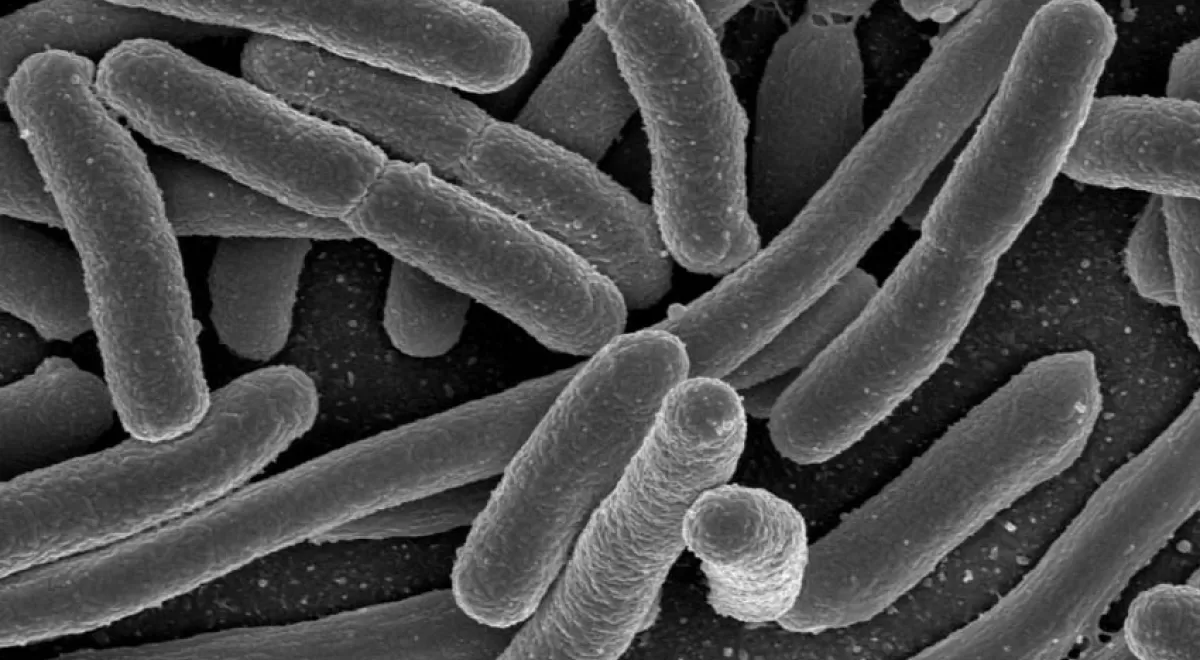 Un nuevo dispositivo permite la detección de Legionella y E.coli en sólo 120 minutos