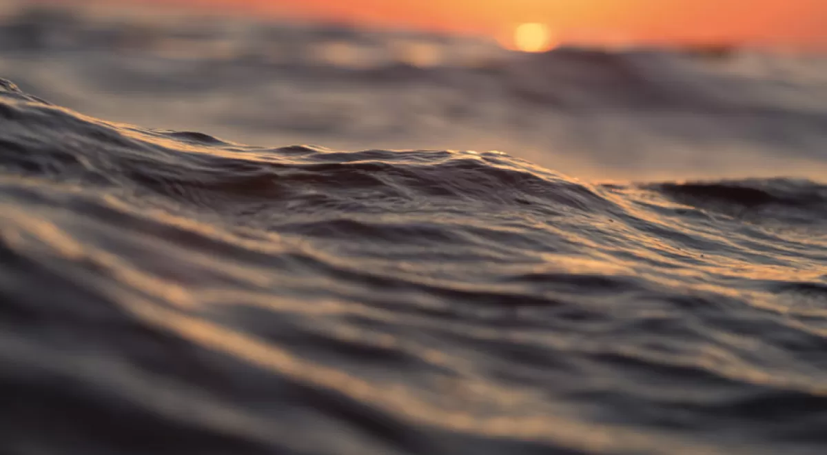 El año de la recuperación