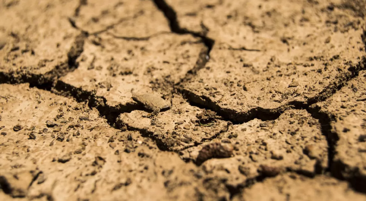 El Gobierno andaluz sopesa la implantación de medidas excepcionales frente a la sequía