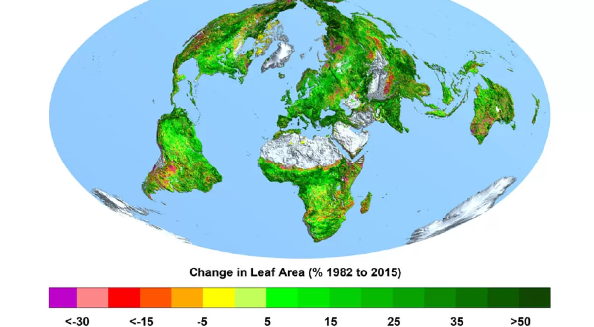 La Tierra, más verde que hace 30 años por el aumento de los niveles de CO2
