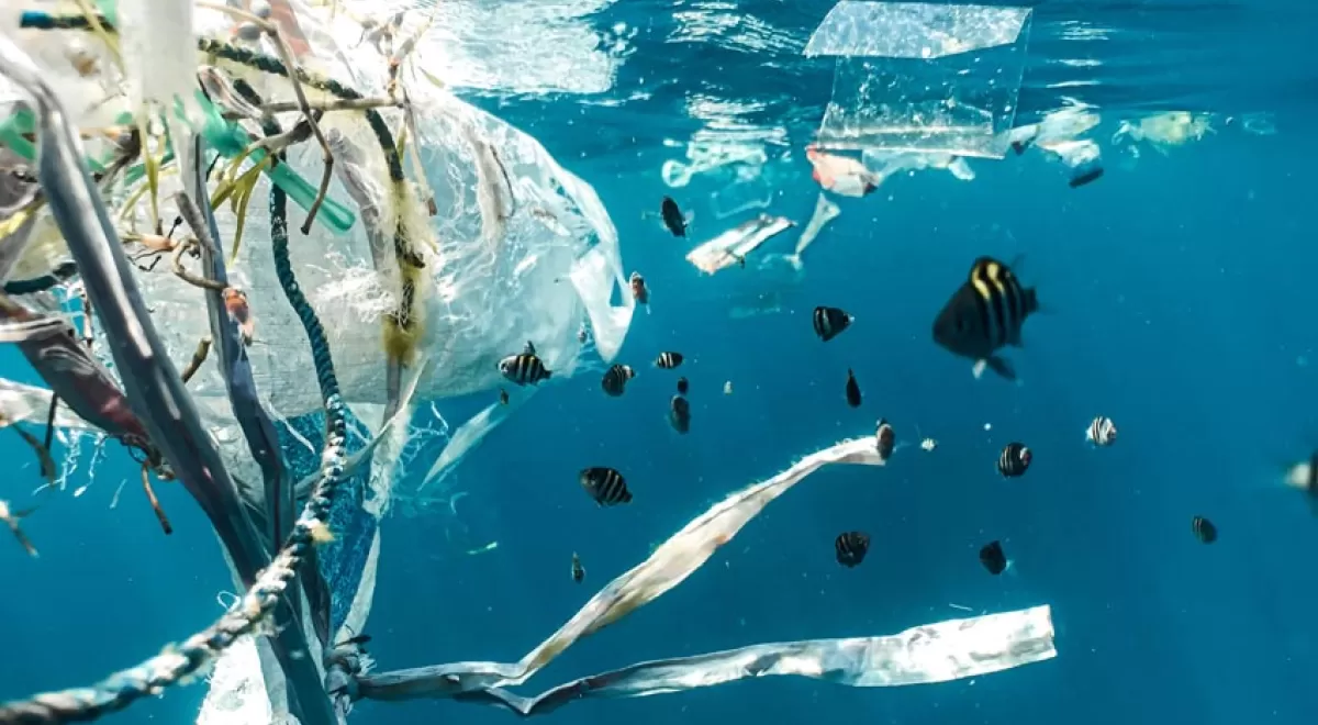 Cómo los países pueden revertir la marea del plástico