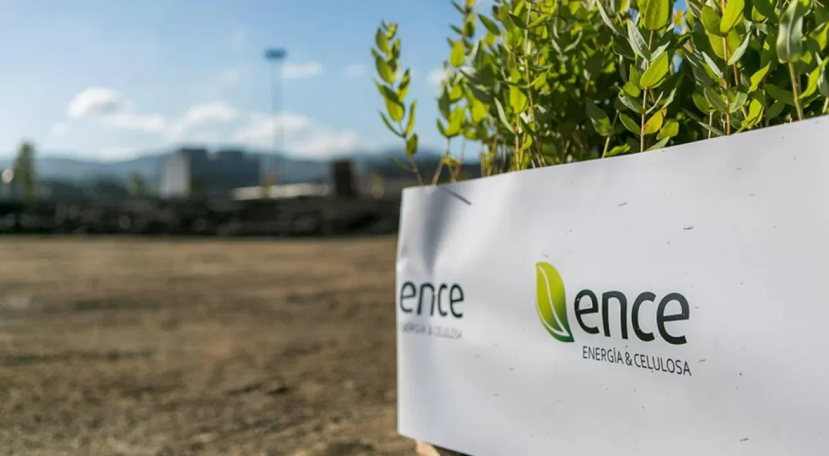 Ence destinará 87 millones de euros para una planta de biomasa en Huelva