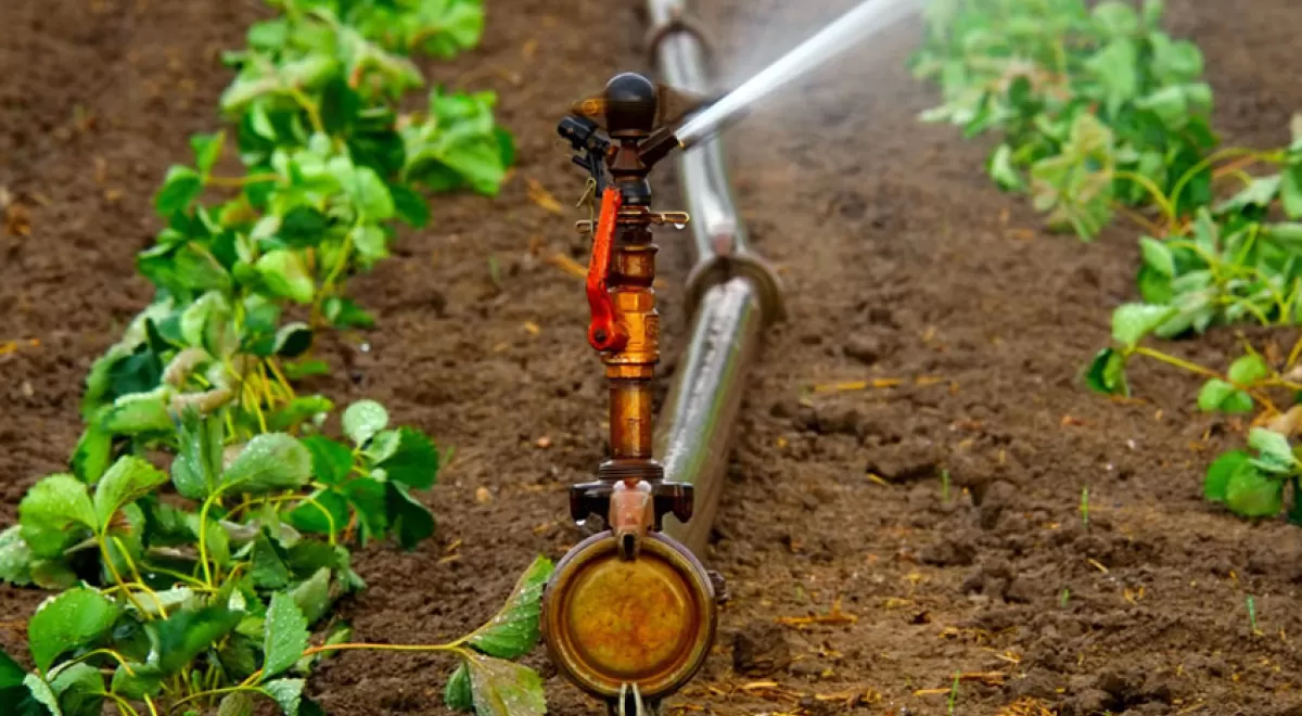 Diseñar herramientas adaptables a las necesidades del regadío para reducir el consumo energético