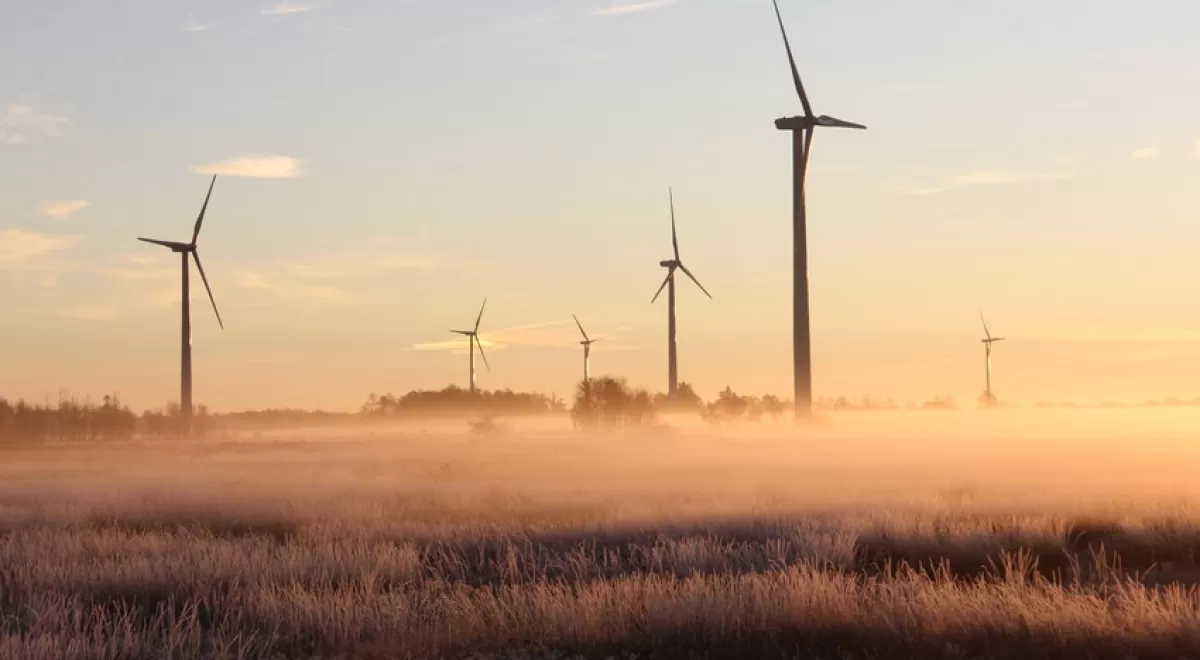 Si toda la energía procediera de fuentes renovables, ¿pagaríamos menos por la electricidad?