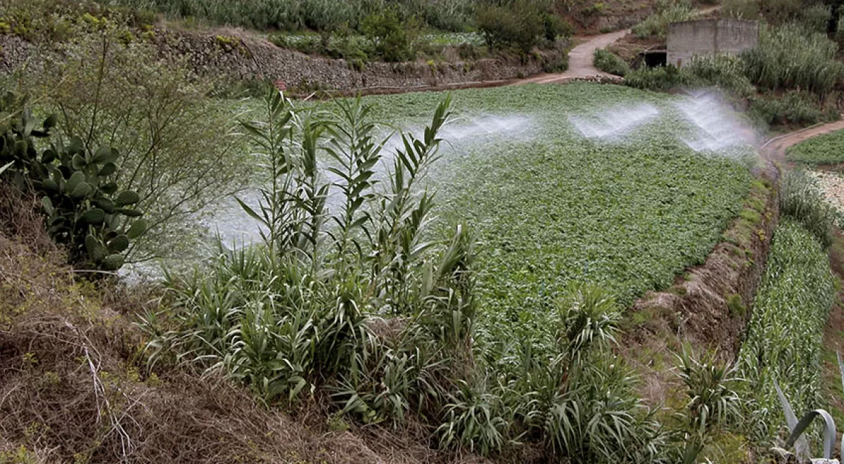 El Gobierno de Canarias concede 8 millones en ayudas para abaratar el agua de uso agrícola