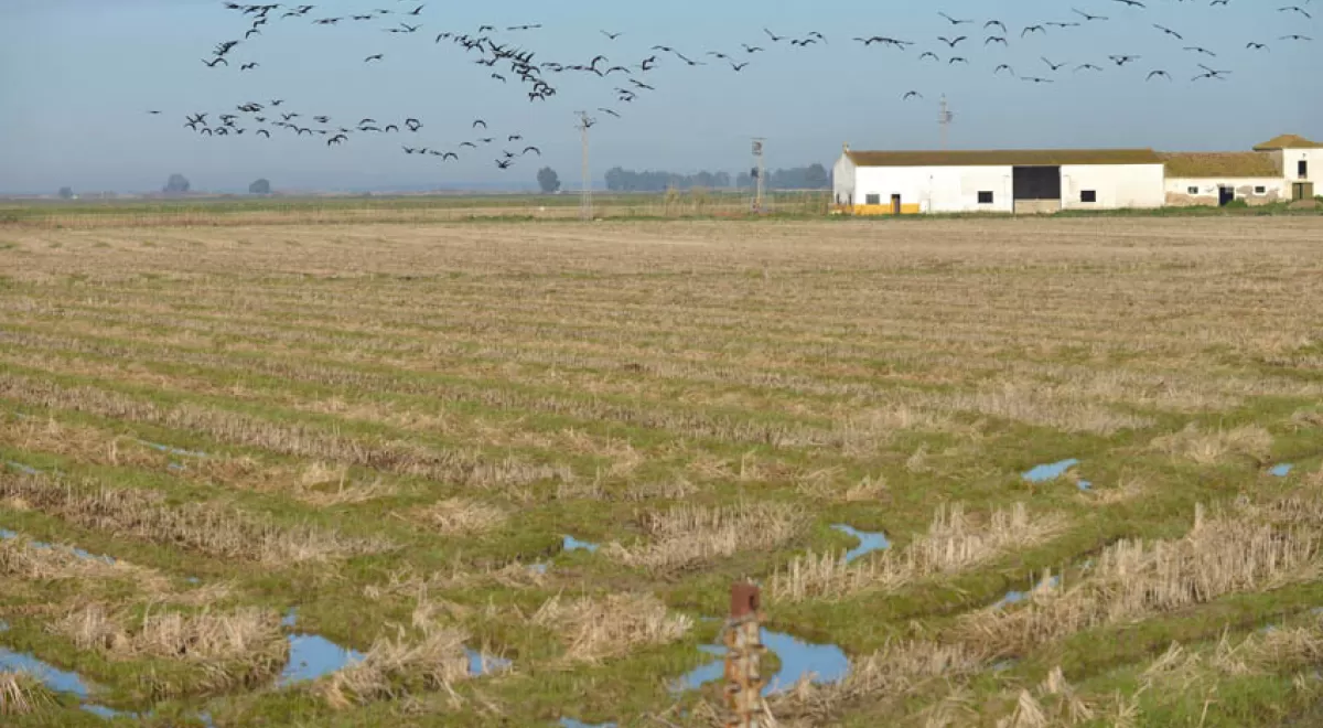 Coca-Cola y WWF España apuestan por una agricultura más sostenible y la restauración de hábitats