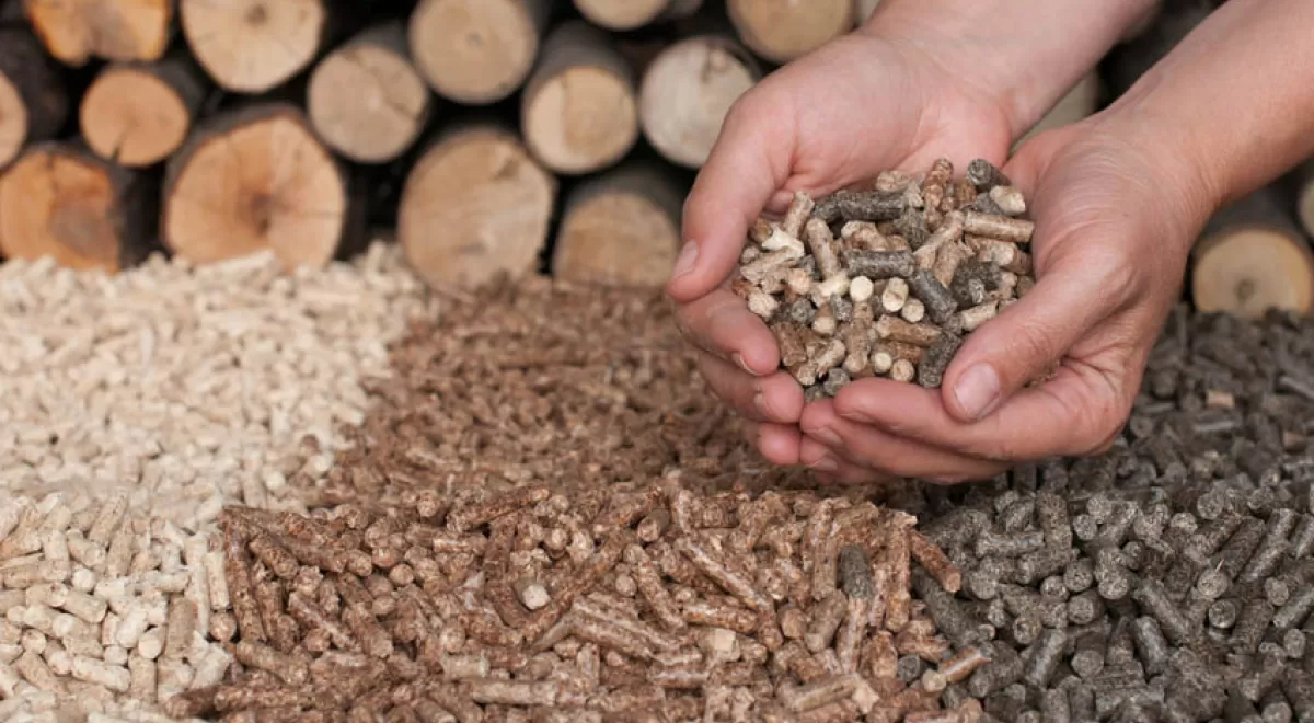 Avebiom sitúa la biomasa como elemento indispensable en la estrategia de fomento de la economía circular