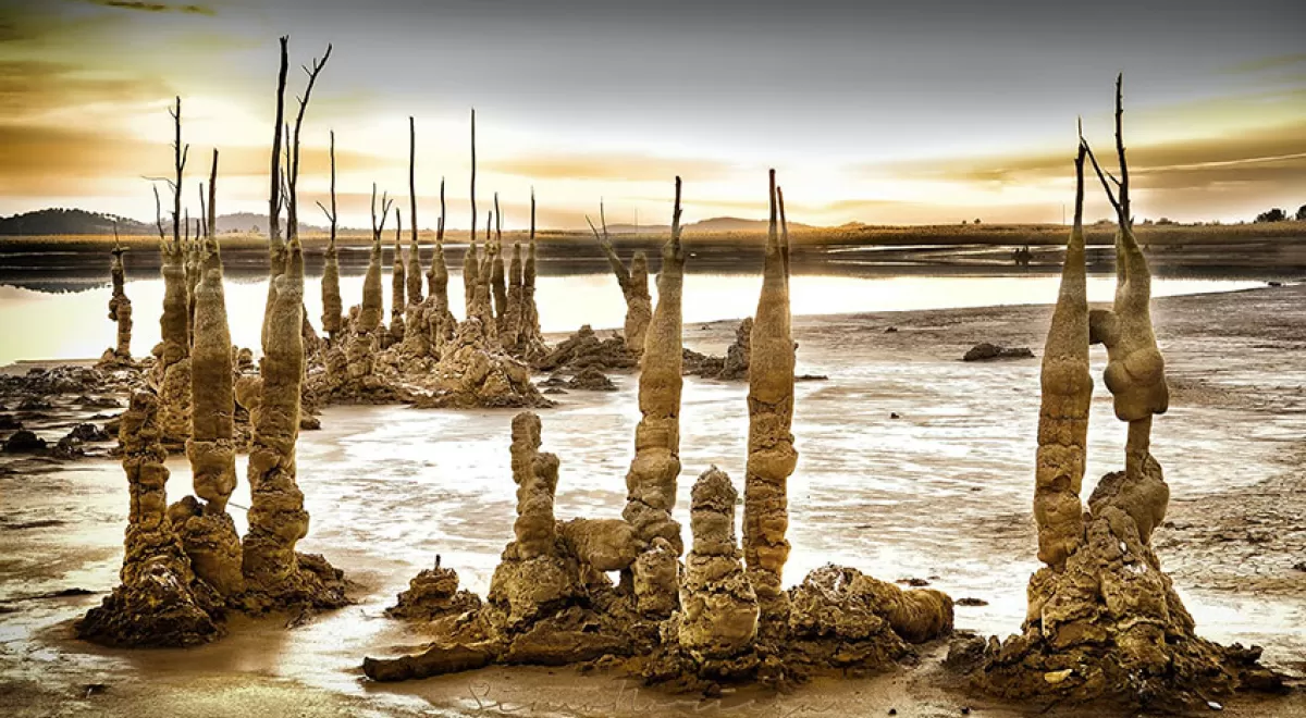 Cómo la contaminación ha creado arte en la balsa de lodos tóxicos más grande de Europa
