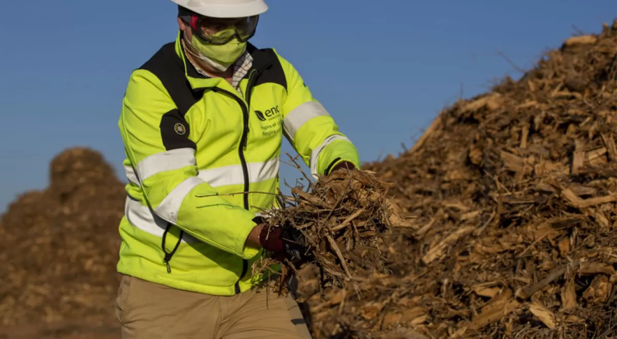 Ence apuesta por el orujillo para la producción de energía