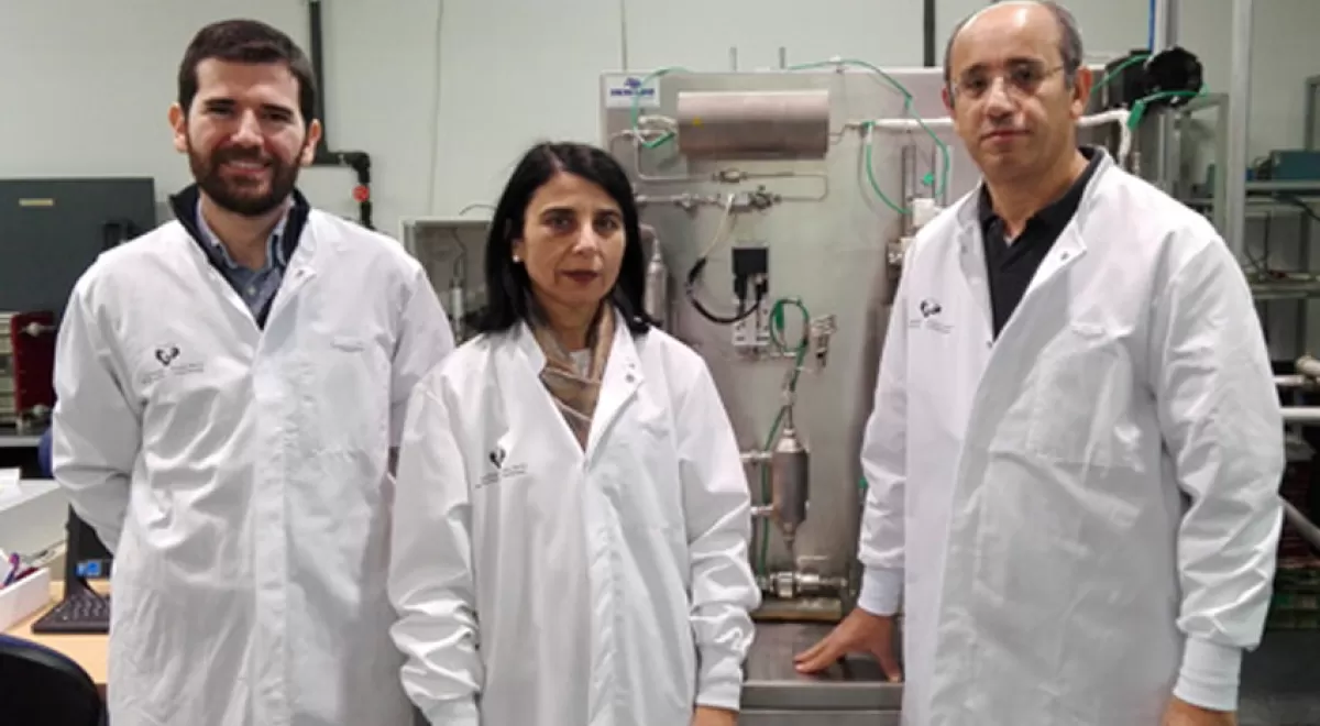 Investigadores de la UPV/EHU patentan un método para transformar lignina en productos de alto valor añadido