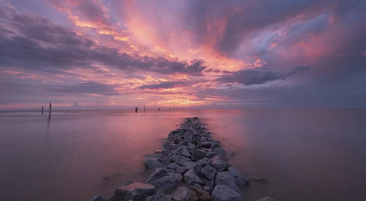 Fundación Aquae visibiliza referentes femeninos que marcaron un hito en la oceanografía y el cuidado del mar