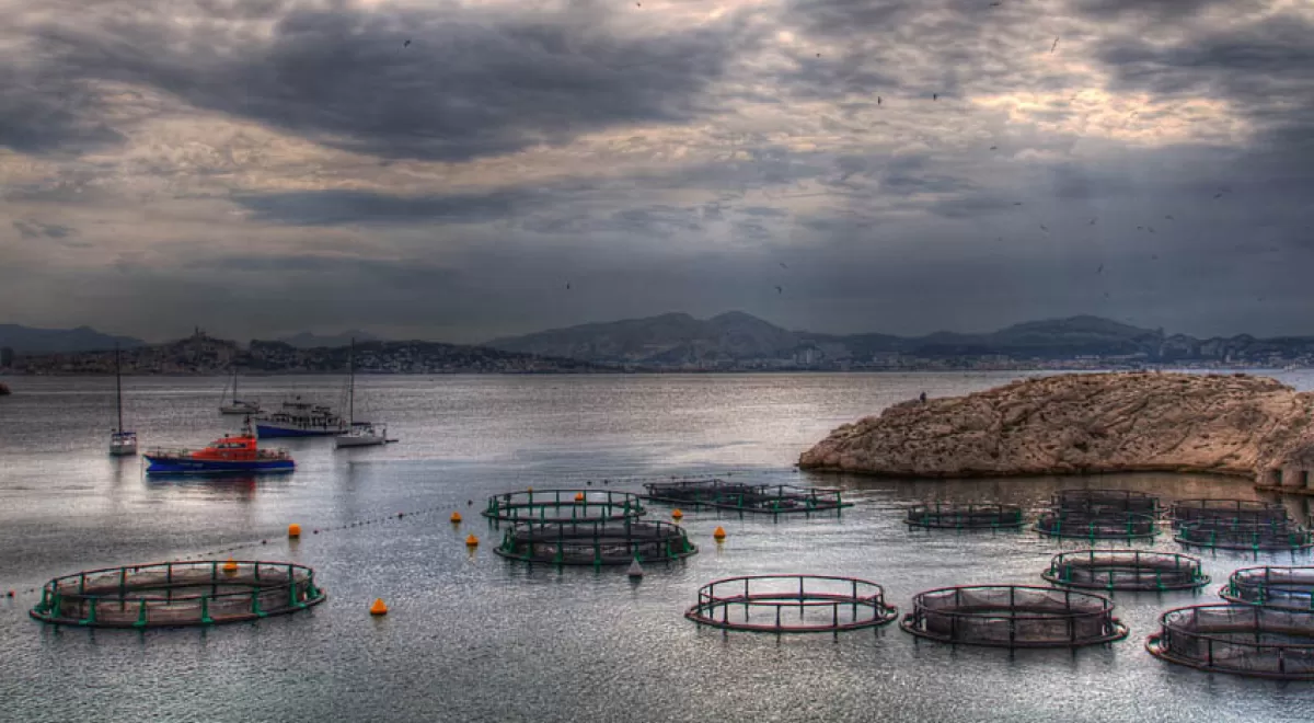 TAPAS, un proyecto para fomentar un crecimiento sostenible de la acuicultura en Europa