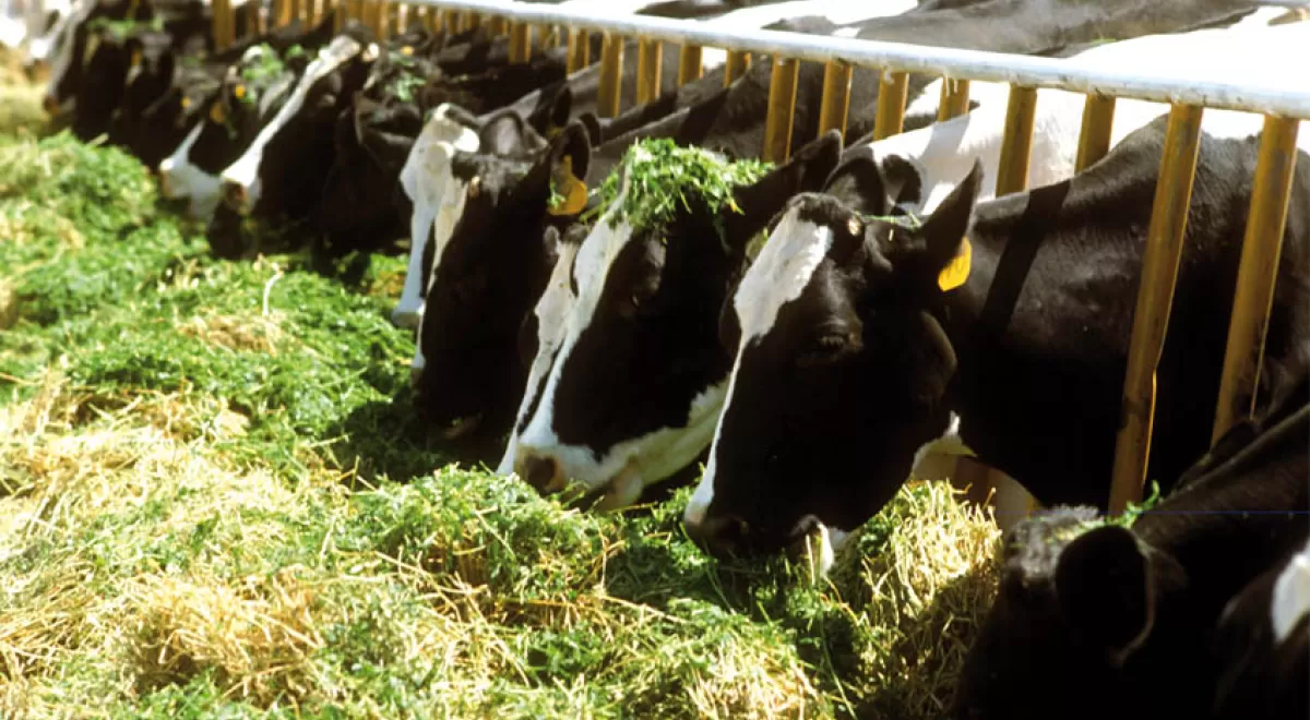 Las explotaciones que mejoran la alimentación del ganado presentan una menor huella hídrica