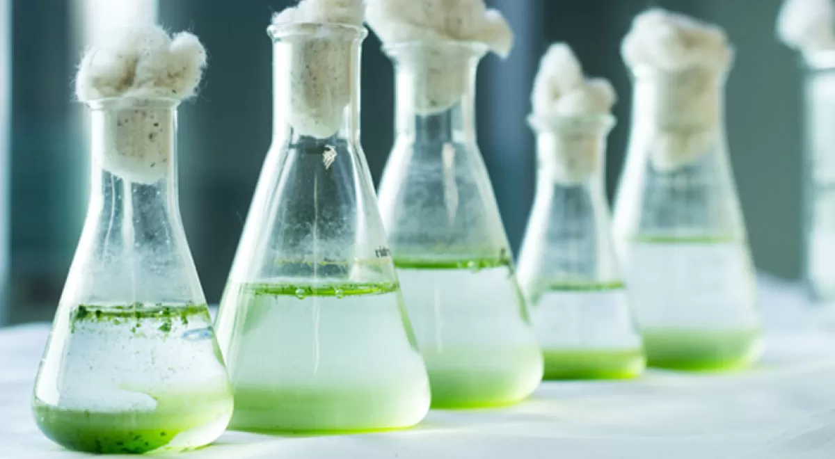 "La calidad de los sedimentos del litoral valenciano es buena en relación a los niveles concentración de metales"