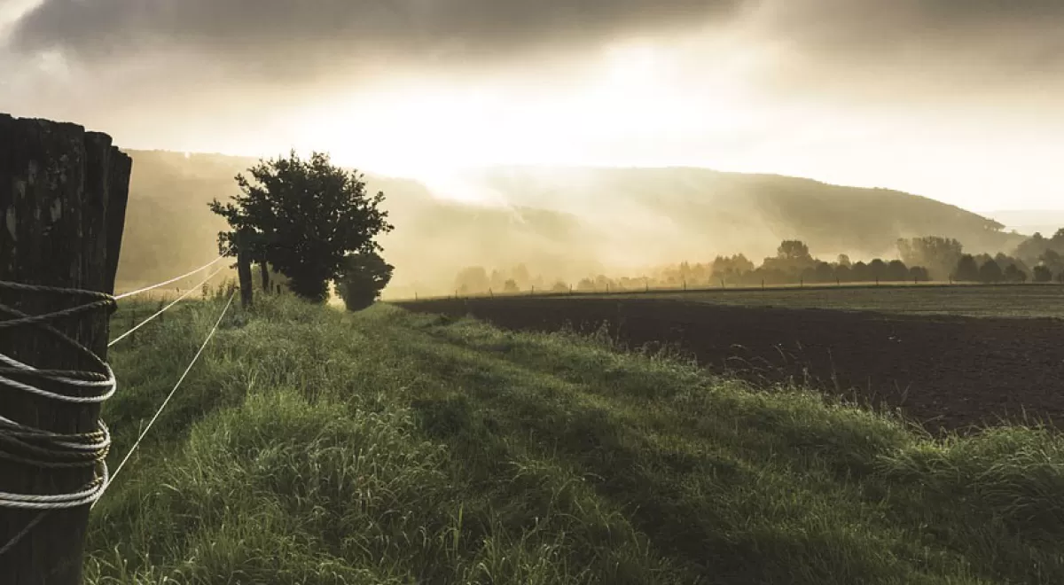 ¿Cómo promover una agricultura sostenible y resiliente?