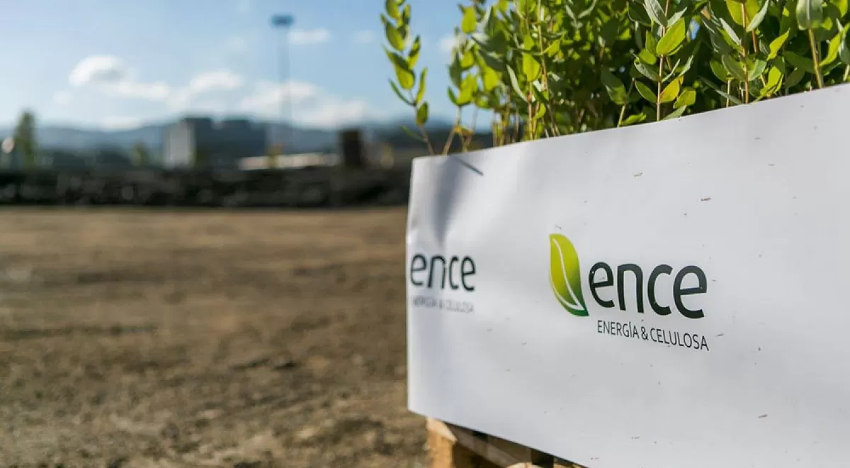 ENCE amplía su financiación verde para la construcción de la planta de biomasa de Puertollano