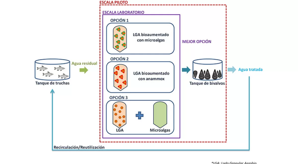 Lecciones aprendidas del laboratorio a escala piloto en acuicultura de agua dulce: el proyecto Aquaval