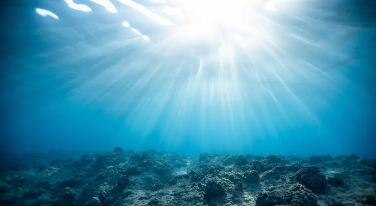 Un estudio pone de relieve el impacto positivo del confinamiento en las aguas del Mediterráneo