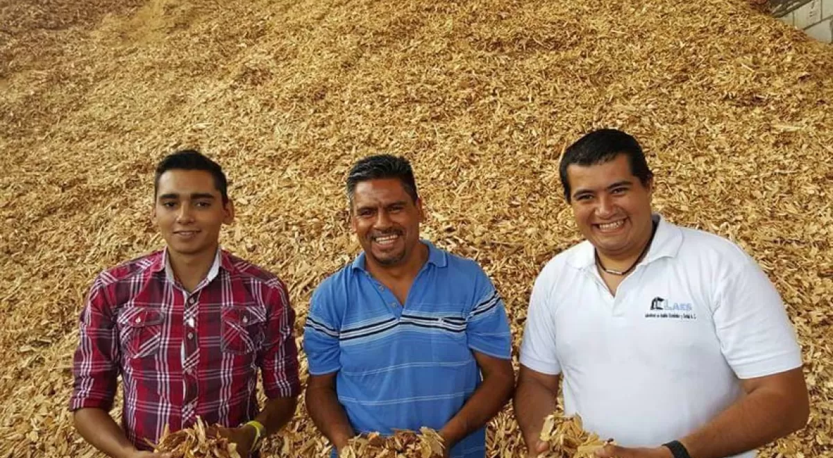 La biomasa en México, un negocio por desarrollar