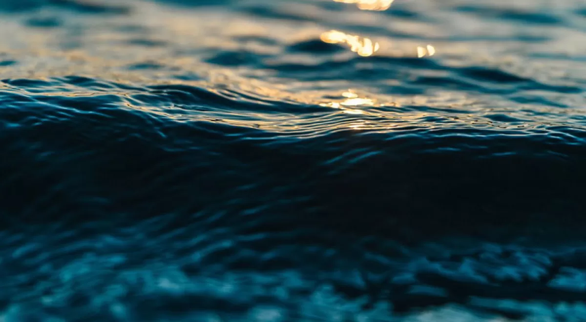 Abierta la convocatoria para la presentación de ideas o proyectos en el I Foro de Inversión DESAL+ Startups