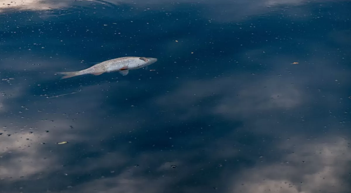 Nueve países caribeños se unen para combatir la contaminación por sustancias tóxicas