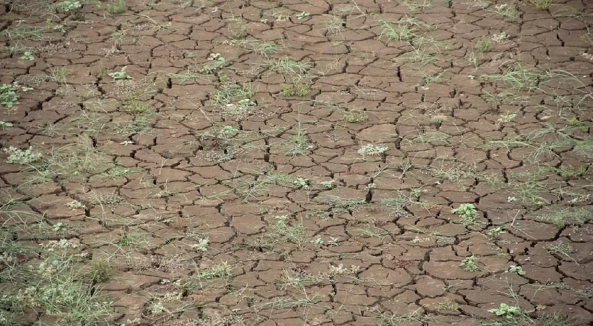 ¿Cómo mejorar la gestión del riesgo de catástrofes naturales?, el proyecto ENAHNCE presenta conclusiones