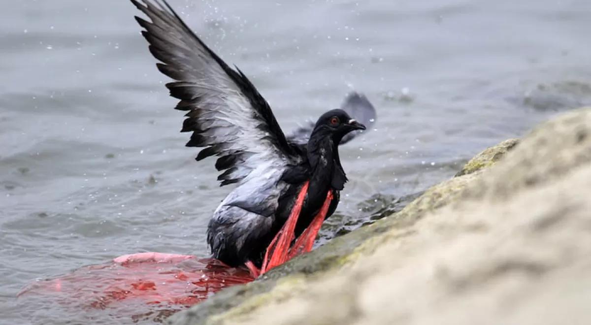 América Latina y el Caribe, líder en la lucha contra las bolsas plásticas