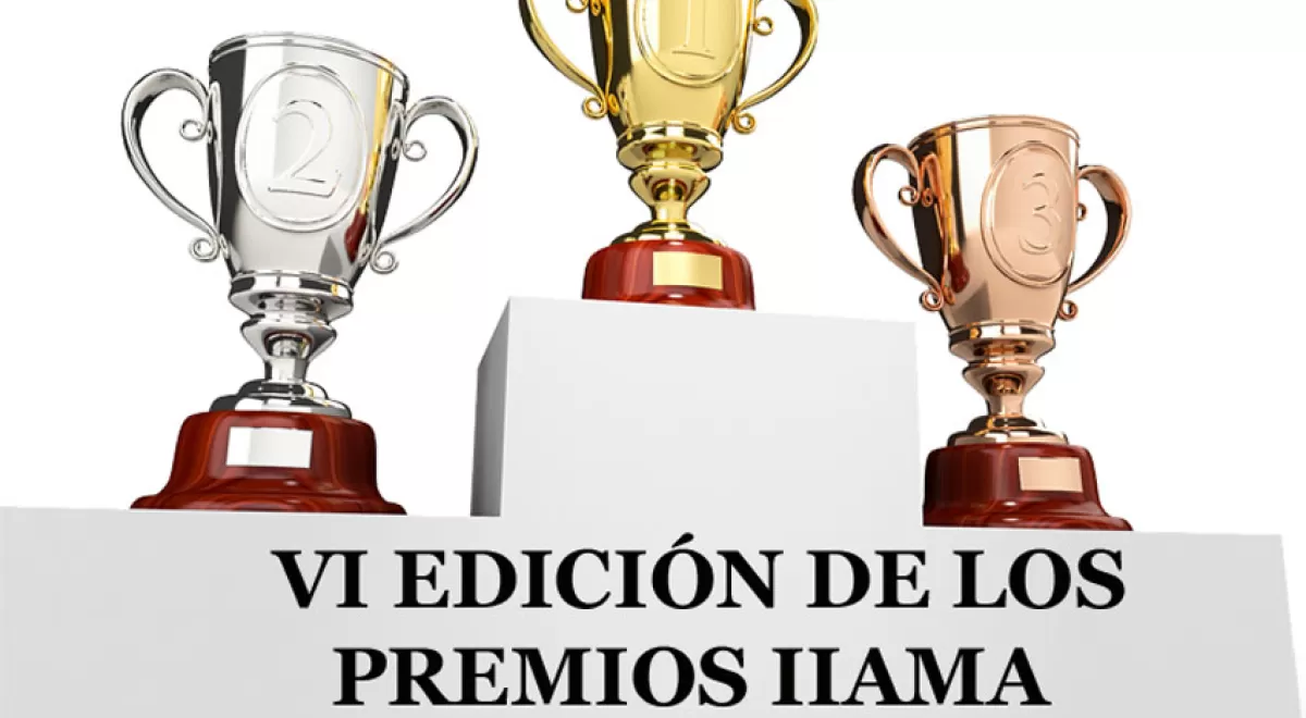 El IIAMA convoca sus premios a los mejores trabajos académicos en Ingeniería del Agua