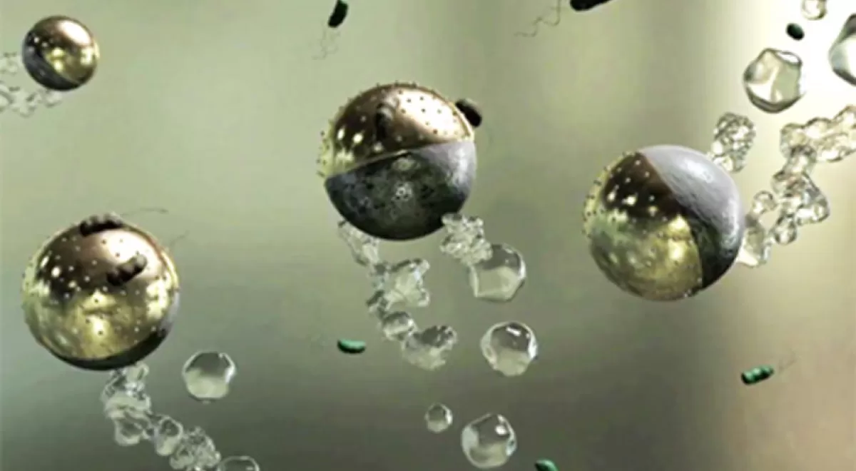 Microrobots capaces de eliminar las bacterias del agua