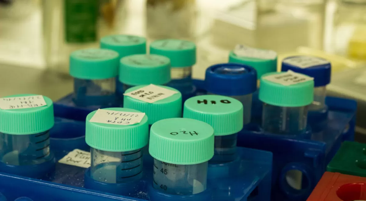 El IIAMA publica su Memoria de Actividades de 2016