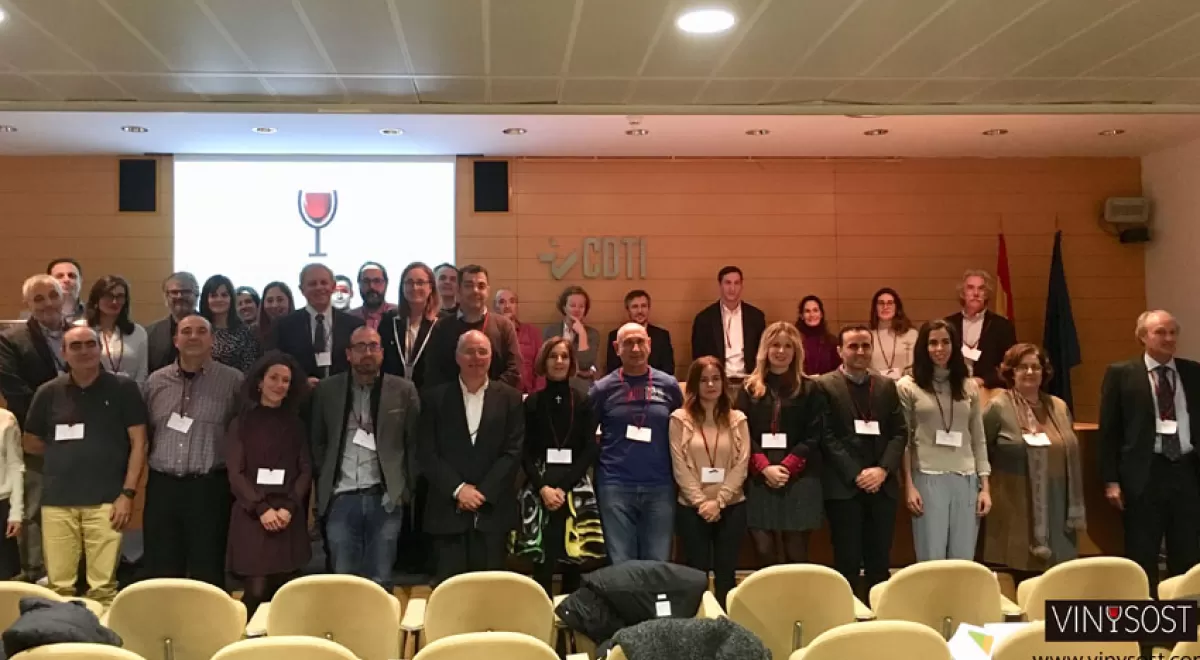 Finaliza el proyecto de I+D VINYSOST para mejorar la sostenibilidad del sector del vino en España