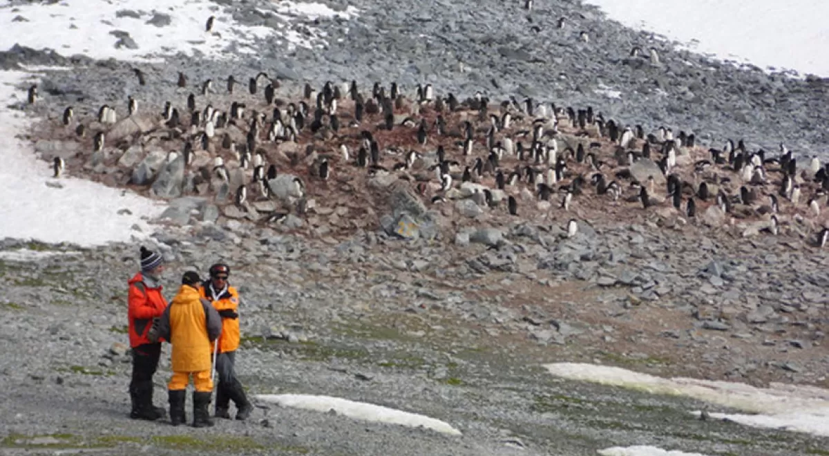Así afectan los contaminantes emergentes en la Antártida
