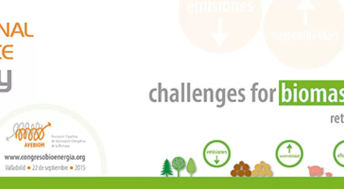 Los retos del sector ante la futura estrategia europea centrarán el 10º Congreso Internacional de Bioenergía