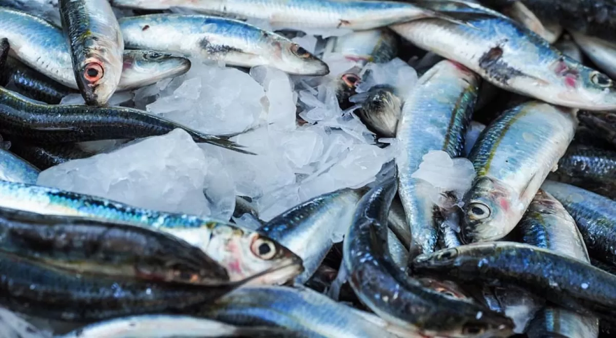 Un proyecto europeo coordinado por NEIKER convertirá en biofertilizantes los residuos de la industria pesquera