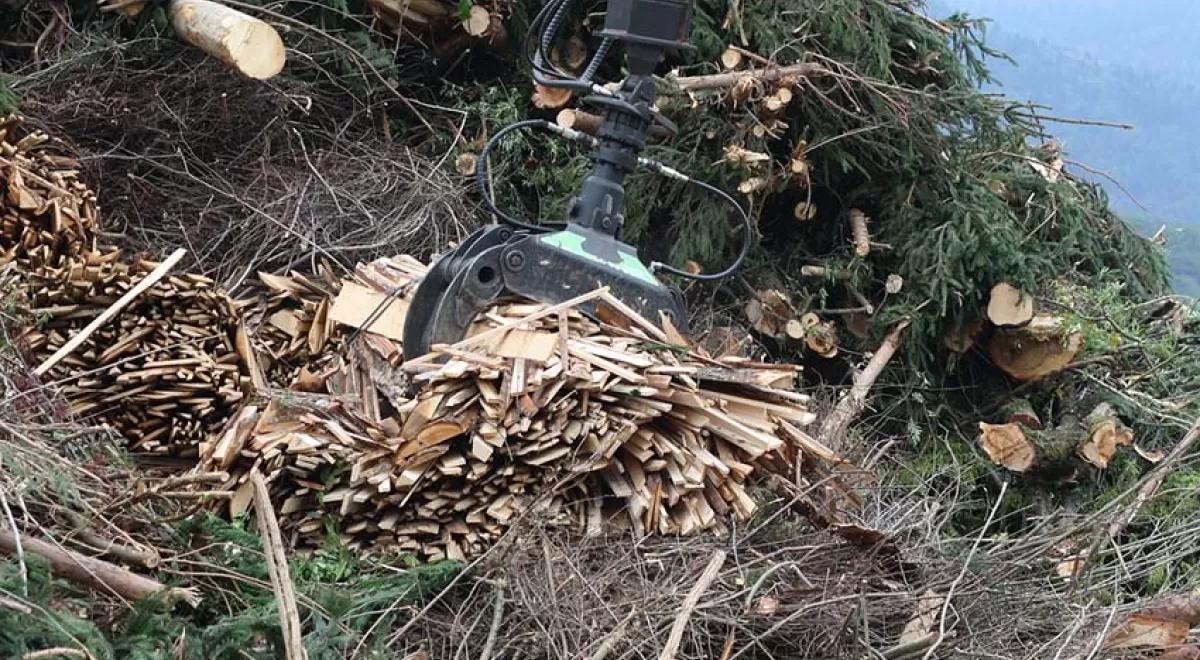 Cantabria convoca ayudas para extraer biomasa forestal residual