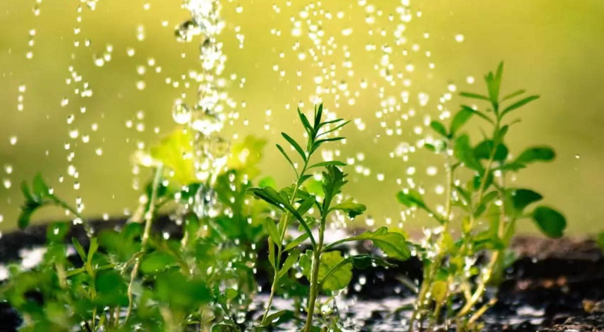 La Generalitat Valenciana establece una exención económica asociada al uso del agua desalada