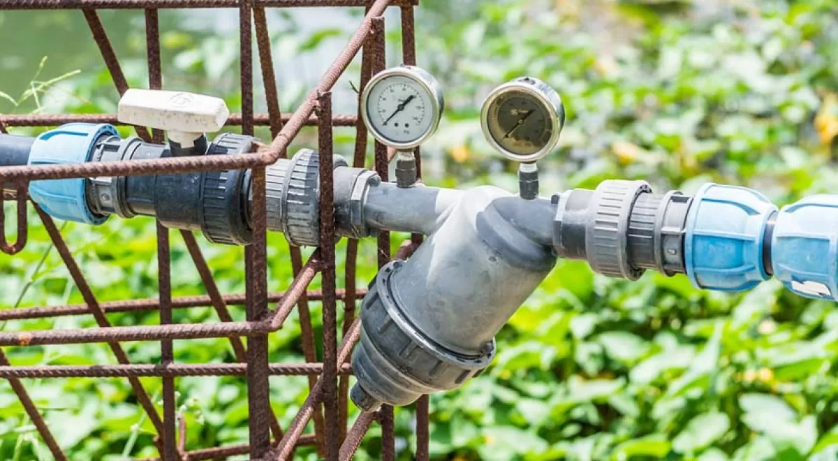 En septiembre se presentará la estrategia que garantizará de forma definitiva los riegos del Condado en Huelva