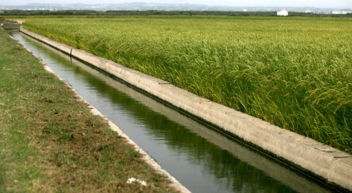 Nuevas ayudas para la optimización del uso de los recursos hídricos para riego en la Comunidad Valenciana