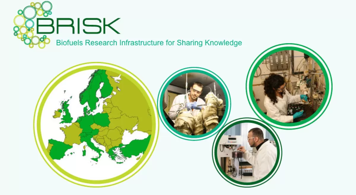 Proyecto BRISK: una red de infraestructuras científicas para impulsar la biomasa europea
