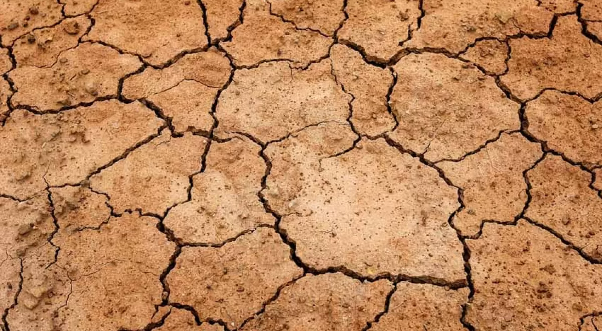 Europa presenta medidas adicionales para apoyar a los agricultores frente a la sequía